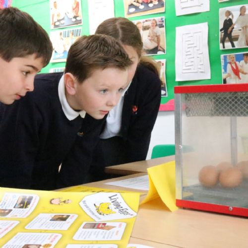 Science Week 2022